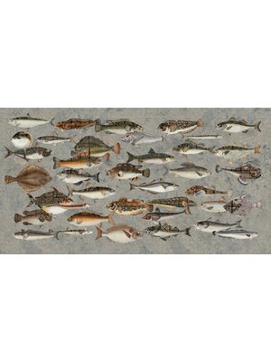 Noordwand Muance Fotobehang Underwater - MU15063 Noordwand Muance Fotobehang Underwater - MU15063