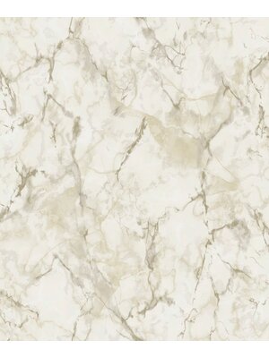 Galerie Natural FX 2 Behang met marmerprint - G67753