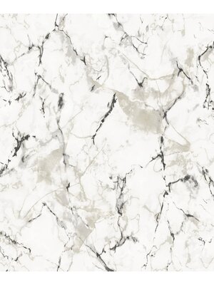 Galerie Natural FX 2 Behang met marmerprint - G67758