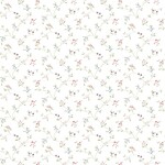 Bestel een staaltje Bestel een staaltje