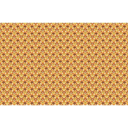 2,7m x 4,19m