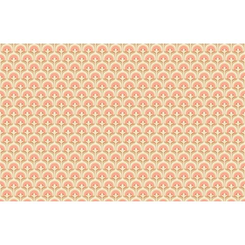 2,7m x 4,19m