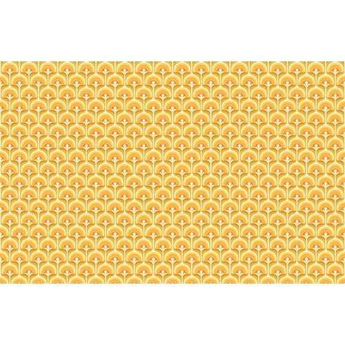 2,7m x 4,19m