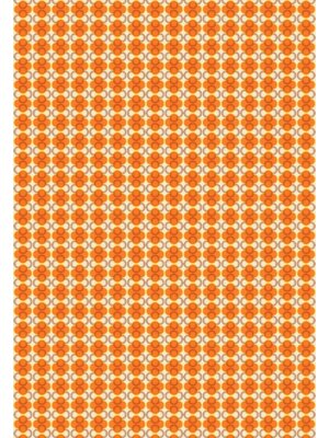 Noordwand Seventies Retrobehang geïnspireerd door de jaren 70 - S723c4 Noordwand Seventies Retrobehang geïnspireerd door de jaren 70 - S723c4