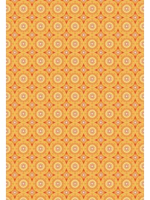 Noordwand Seventies Retrobehang geïnspireerd door de jaren 70 - S733c4 Noordwand Seventies Retrobehang geïnspireerd door de jaren 70 - S733c4