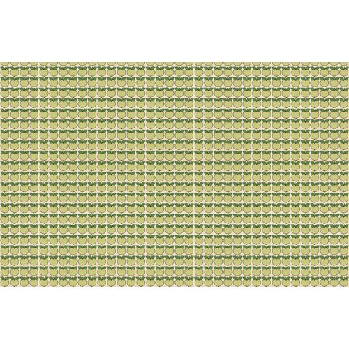 2,7m x 4,19m