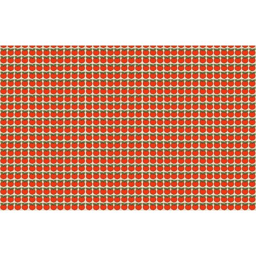 2,7m x 4,19m