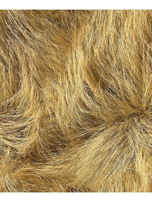 Noordwand Textura Behang met duingras - 1545769 Noordwand Textura Behang met duingras - 1545769