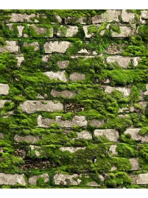 Noordwand Textura Behang stenen muur met mos - 1545732 Noordwand Textura Behang stenen muur met mos - 1545732