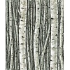 Marburg Timber Behang met berkenbomen - 35380