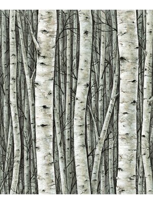 Marburg Timber Behang met berkenbomen - 35380 Marburg Timber Behang met berkenbomen - 35380