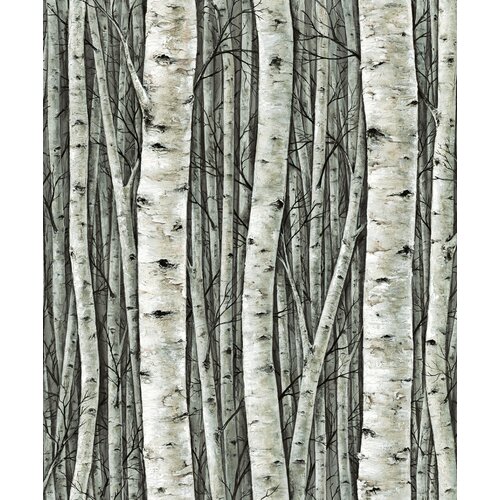 10,05m x 53cm