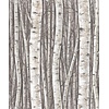 Marburg Timber Behang met berkenbomen - 35394