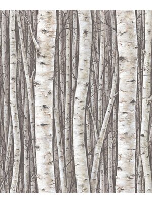 Marburg Timber Behang met berkenbomen - 35394