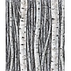 Marburg Timber Behang met berkenbomen - 35397