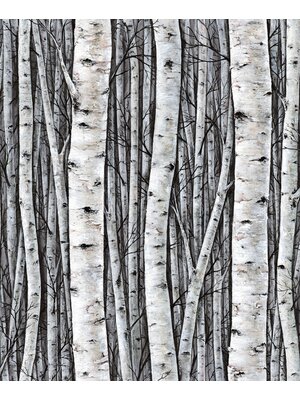 Marburg Timber Behang met berkenbomen - 35397 Marburg Timber Behang met berkenbomen - 35397
