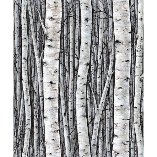 10,05m x 53cm
