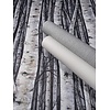 Marburg Timber Behang met berkenbomen - 35397