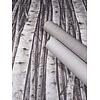 Marburg Timber Behang met streepstructuur - 35354
