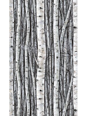 Marburg Timber Fotobehang met berkenbomen - 35395