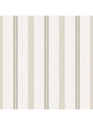 Noordwand Top Stripes Behang met diverse strepen - 38427
