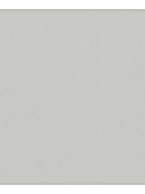 Novamur TopChic 2023-2025; Jackie; Flora; The New Textures Book; Kylie; Textura Behang uni lichtgrijs - 6820-30 Novamur TopChic 2023-2025; Jackie; Flora; The New Textures Book; Kylie; Textura Behang uni lichtgrijs - 6820-30