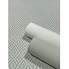 Novamur TopChic 2023-2025; Jackie; Flora; The New Textures Book; Kylie; Textura Behang uni lichtgrijs - 6820-30