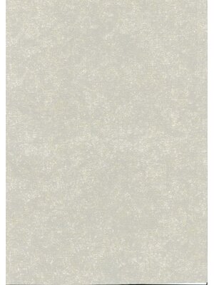 Noordwand TopChic 2023-2025; Milano; TopChic Behang met lichte betonstuc structuur - 68704