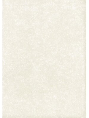 Noordwand TopChic 2023-2025; Milano; TopChic Behang met lichte betonstuc structuur - 68706