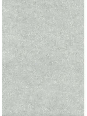 Noordwand TopChic 2023-2025; Milano; TopChic Behang met lichte betonstuc structuur - 68707