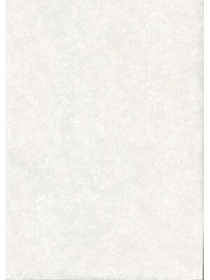 Noordwand TopChic 2023-2025; Milano; TopChic Behang met lichte betonstuc structuur - 68708 Noordwand TopChic 2023-2025; Milano; TopChic Behang met lichte betonstuc structuur - 68708