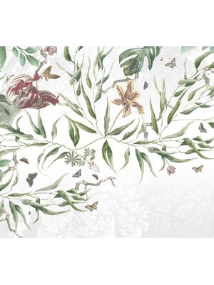 Vanilla Lime Vanilla Lime Fotobehang Biodiversity - 014300