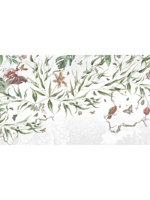 Vanilla Lime Vanilla Lime Fotobehang Biodiversity - 014301