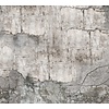 Vanilla Lime Vanilla Lime Fotobehang Concrete Wall - 014332