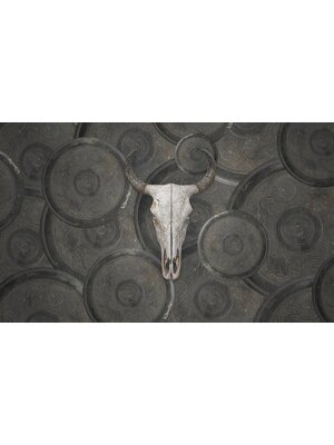 Vanilla Lime Vanilla Lime Fotobehang Countryfied - 014253