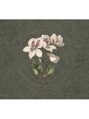 Vanilla Lime Vanilla Lime Fotobehang Daydreams - 014278