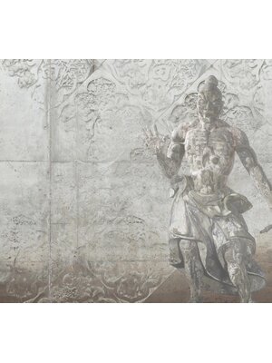 Noordwand Vanilla Lime Fotobehang Warrior - 014228 Noordwand Vanilla Lime Fotobehang Warrior - 014228