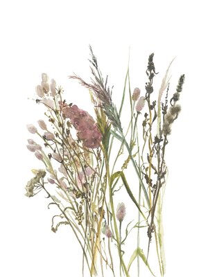 Noordwand Fotobehang aquarel droogbloemen boeket