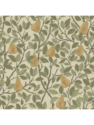 Midbec FC Angas- Pirum Yellow - 13102 Midbec FC Angas- Pirum Yellow - 13102