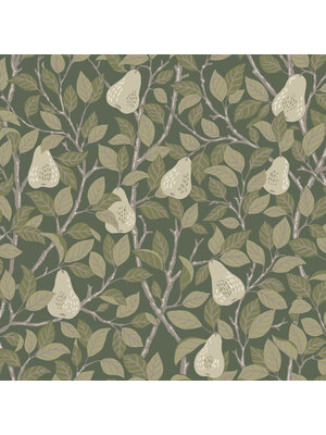 Midbec FC Angas- Pirum Green - 13105