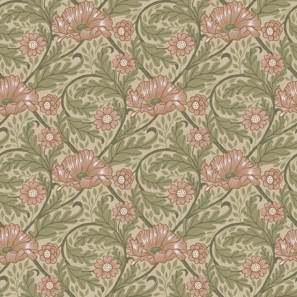 Midbec FC Angas- Esther Apricot - 13115