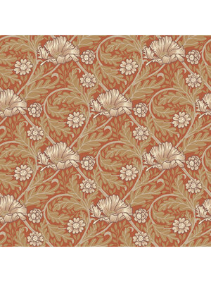 Midbec FC Angas- Esther Red - 13116