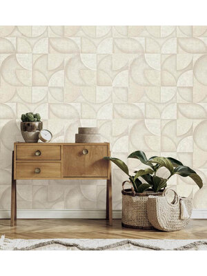 Dutch FC Arber- Addison Stone  - DL26747