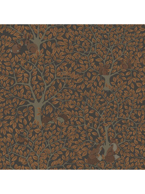 Midbec FC Gronhaga- Per Chocolate - 44114 Midbec FC Gronhaga- Per Chocolate - 44114