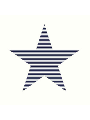 Dutch FC Joy- sterren wit/blauw - 72041