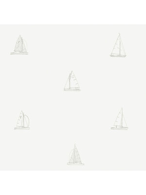 Dutch FC Joy- zeilboten wit/grijs - 72044