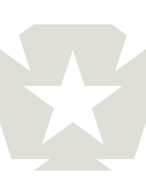 Dutch FC Joy- sterren grijs/wit - 72123