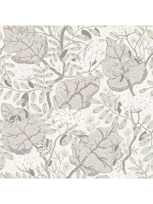 Midbec FC Lina- Ulla-Britt Grey - 55031