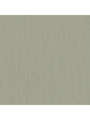 Dutch FC Midolin- Vass Green - 17221