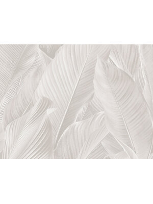 Dutch Tahiti - Banya gebroken wit - 13301